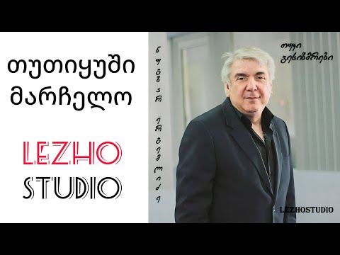 თუთიყუში მარჩელო • ნუგზარ ერგემლიძე